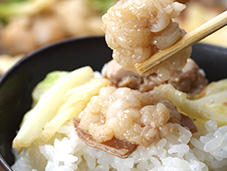 ご飯とホルちゃん